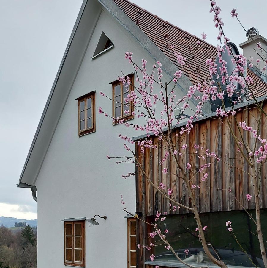 Weingartenhaus Eckberg41 Eckberg
