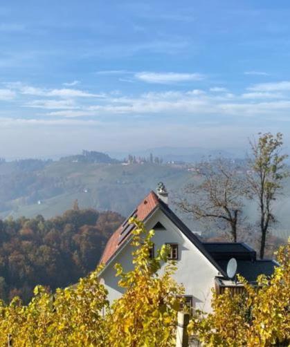 Weingartenhaus Eckberg41 Holiday home Eckberg